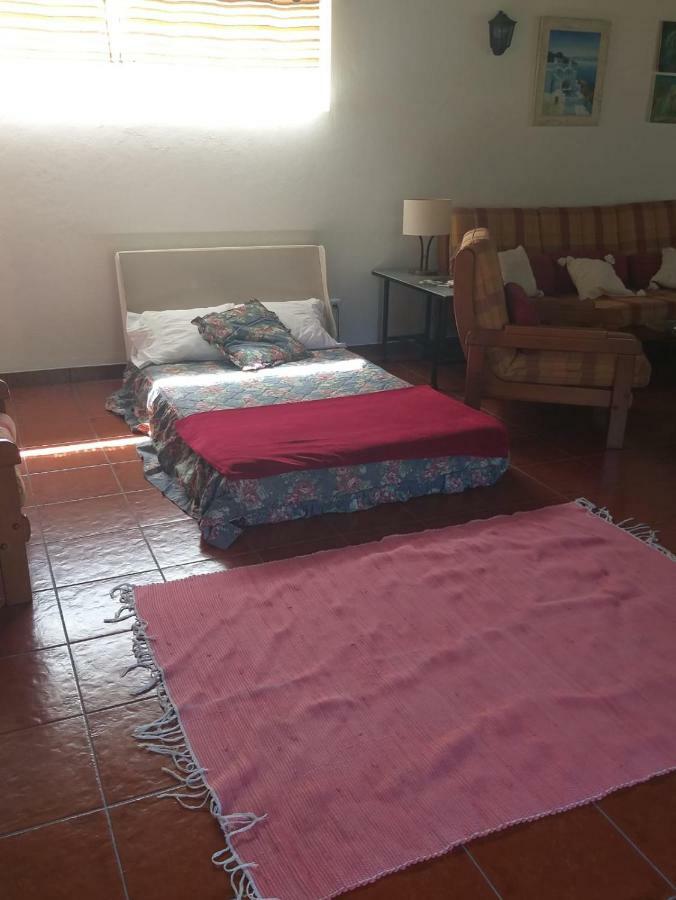 Azores Hibiscus House - Mountain And Sea Holiday home *