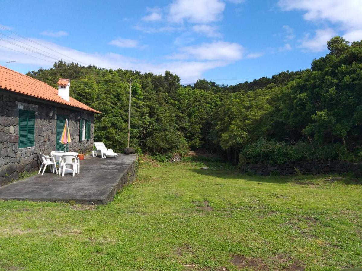 Azores Hibiscus House - Mountain And Sea Holiday home Sao Roque do Pico