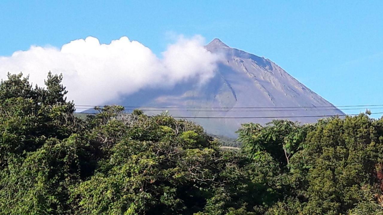 Azores Hibiscus House - Mountain And Sea Holiday home Sao Roque do Pico