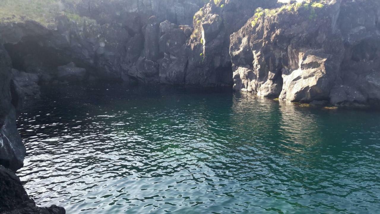 Azores Hibiscus House - Mountain And Sea Holiday home
